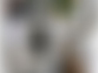 Instituto Municipal para la Cultura inaugura museo “Historias de Pachuca”