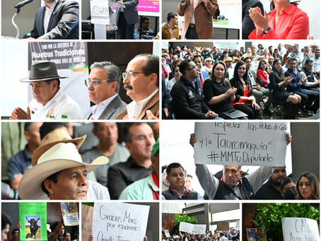 Congreso de Hidalgo alberga foro a favor de la tauromaquia