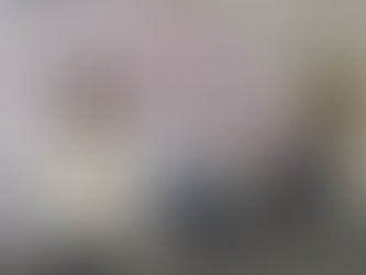 Activistas y ONG´s piden a legisladora respaldar la Agenda Nacional contra el Racismo México 2024