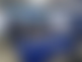 Presentan oficialmente a la nueva presidenta del PAN en Hidalgo Marcela Isidro García