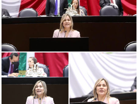 Dip. Sayonara Vargas presentó iniciativa para reconocer los derechos y conocimientos de las mujeres