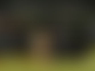 Parque Nacional El Chico