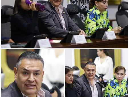 Diputado Francisco Téllez