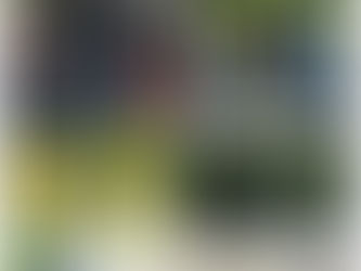 Inspección y vigilancia de la obra pública para que cumpla con especificaciones técnicas: Bardales