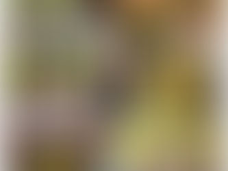 11 de Abril se llevará acabo la 28 edición de la Muestra gastronómica en Boxtha Chico