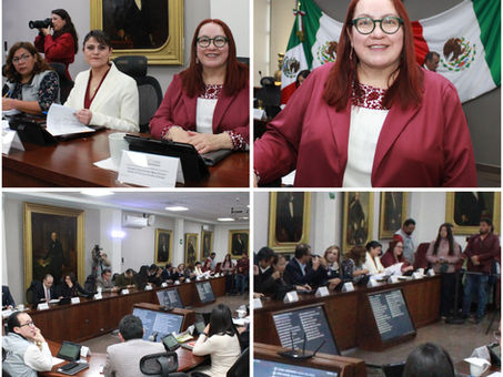 Tania Meza propone reforma que mejoraría la defensa de los derechos humanos en Hidalgo