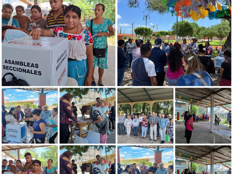 Morena Hidalgo conformará más de mil 800 comités seccionales