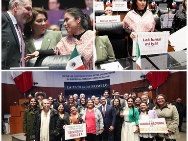 Senado avala reforma en materia de Guardia Nacional