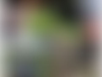 INVITA GOBIERNO DE CUAUTEPEC A JORNADA DE REFORESTACIÓN “MUJERES POR LA TRANSFORMACIÓN DEL YOLO”