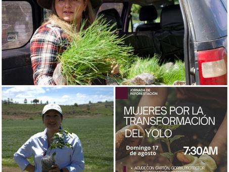 INVITA GOBIERNO DE CUAUTEPEC A JORNADA DE REFORESTACIÓN “MUJERES POR LA TRANSFORMACIÓN DEL YOLO”