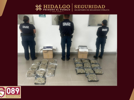 SSPH intercepta cargamento con más de 10 kilos de marihuana