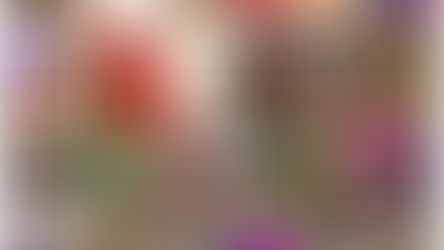 Pachuca se llenará de color con el Gran Desfile de Carnavales