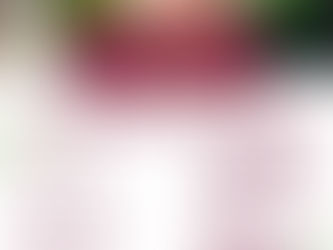 ABIERTA CONVOCATORIA PARA MATRIMONIOS COLECTIVOS EN CUAUTEPEC DE HINOJOSA