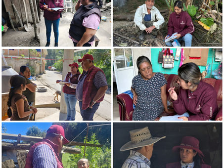 Servidores del pueblo continúan censo para fortalecer atención a las familias afectadas