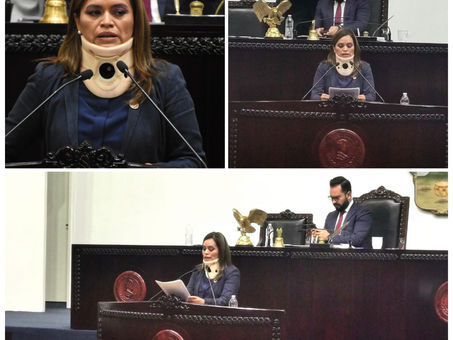 Actualizar diferencia entre diputado independiente y diputado sin partido en Ley Orgánica