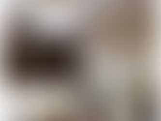 Banco de Germoplasma Forestal, pilar para la conservación y reforestación en Hidalgo