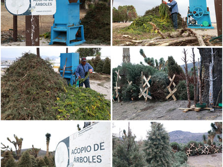 En Hidalgo se impulsa la prevención en materia ambiental con “Regrésalo a la Tierra, Cierra el Ciclo”