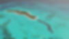 AERIAL.jpg