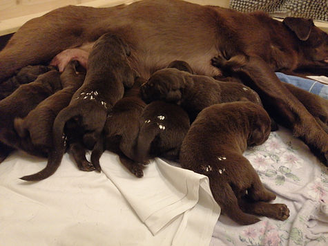 IMG-20211028-WA0089.jpeg