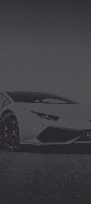 lambo 80%.jpg