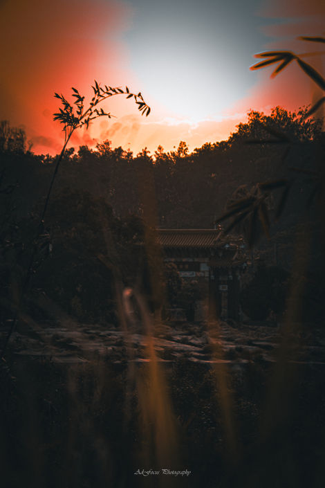 IMG_8523