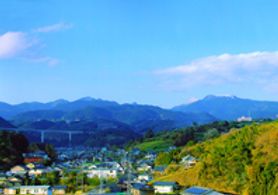 tara001_800ss.jpg