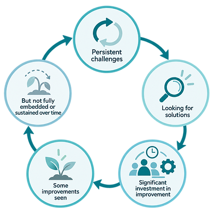 Persistent Improvement Cycle Infographic.png