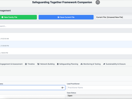Safeguarding Together Companion Program