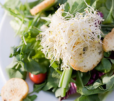 Salad