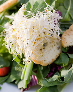 Italian Chopped Salad