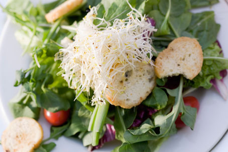 Salads: A Prescription for Enhanced Physical and Mental Wellbeing
