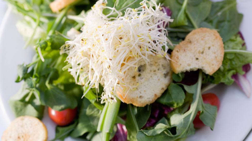 Riley's by the River | Alexandria Bay NY