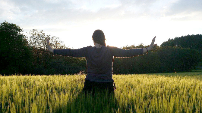 Il Qi Gong e le discipline integrate