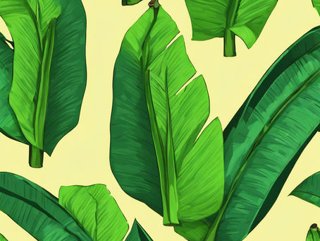 CRYSTAL WHITE BANANA: PART TWO