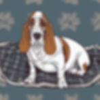 Scipio, the Loyal Friend