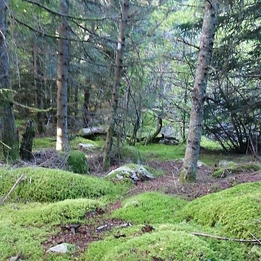 IMG_20210929_092846.jpg