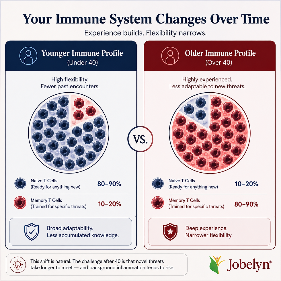Diagram comparing naive and memory T cell balance in younger and older immune systems