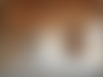 Understanding Loft Conversion Timelines - Your Loft Conversion Duration Guide