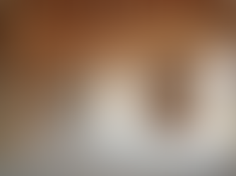 Understanding Loft Conversion Timelines - Your Loft Conversion Duration Guide