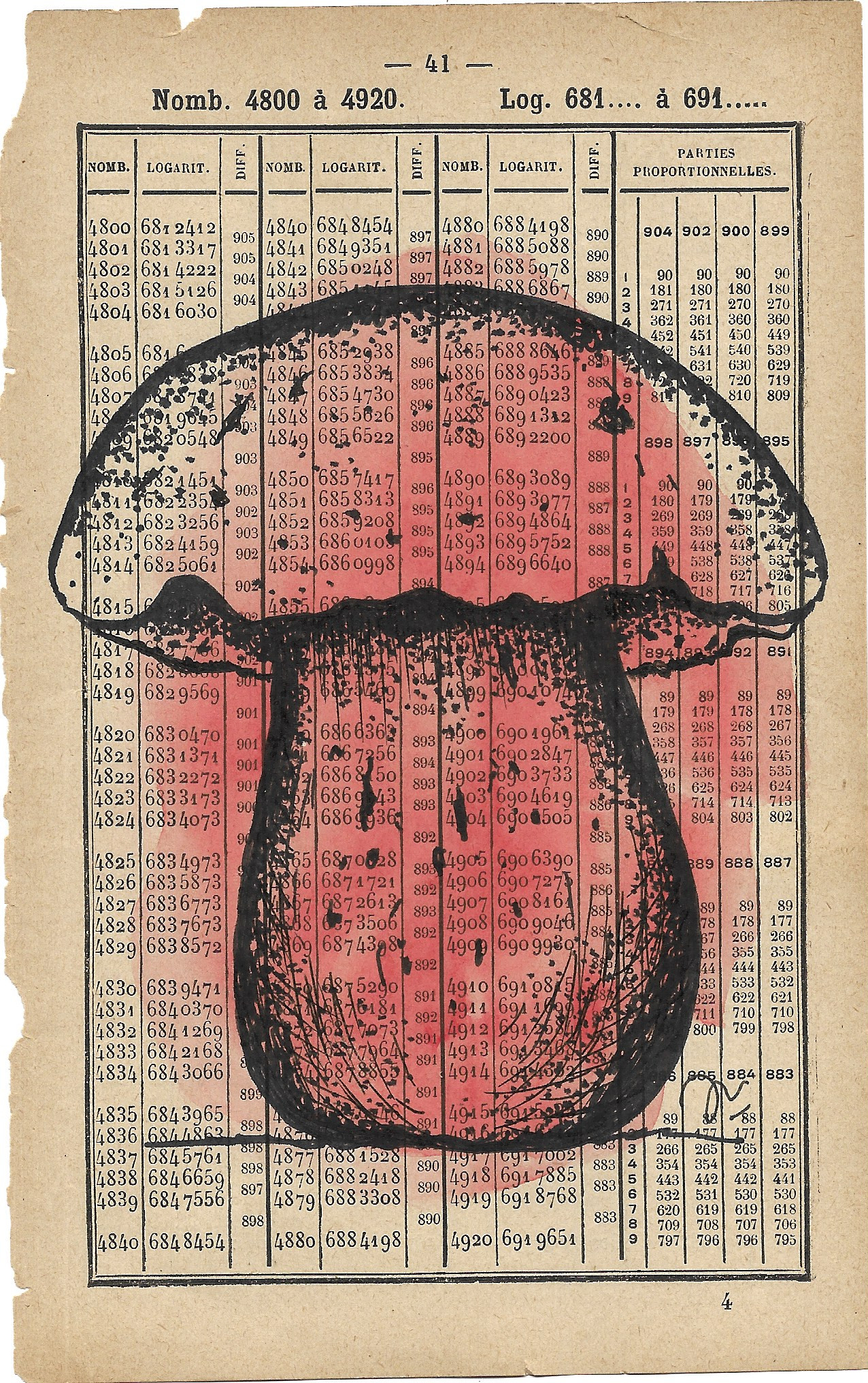 CHAMPIGNON 18