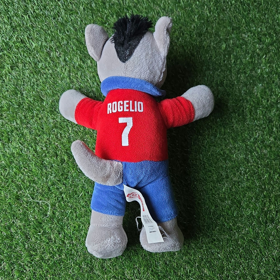 Miniatura: Peluche Rogelio