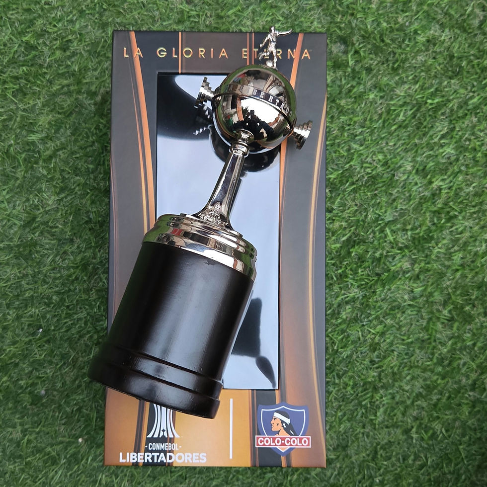 Miniatura: Copa Libertadores Conmebol 1991