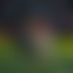 Andrew Privett - "It's a dream come true. It's an experience for a lifetime."