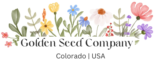 black flower seeds Park Seed Black Peony Poppy Seeds main image 0