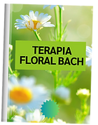 LIBRO BACH.png