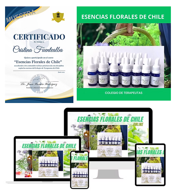 Captura de pantalla 2025-11-19 a la(s) 9.20.39 a. m..png