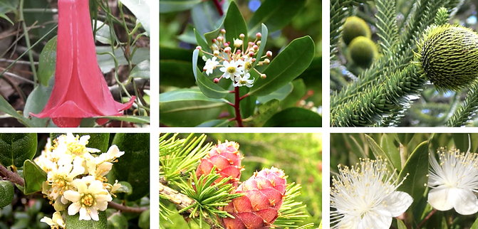 Captura de pantalla 2025-07-10 a la(s) 11.28.01 a. m..png