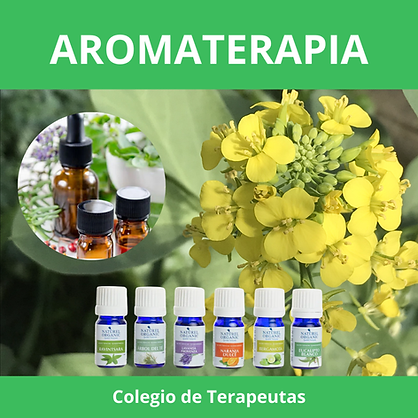 Agregar un título (7).png