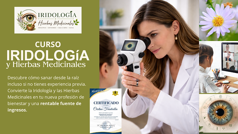 curso profesional (1).png