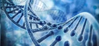 HARVARD DESCUBRE QUE LA HIPNOSIS CAMBIA NUESTRO ADN